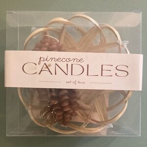 Pinecone Candles Set of Two